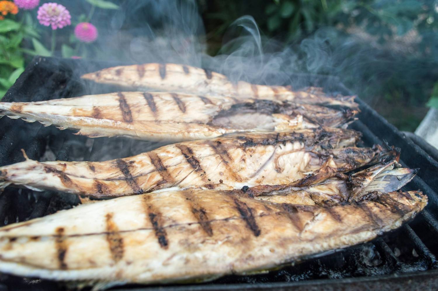 The grill